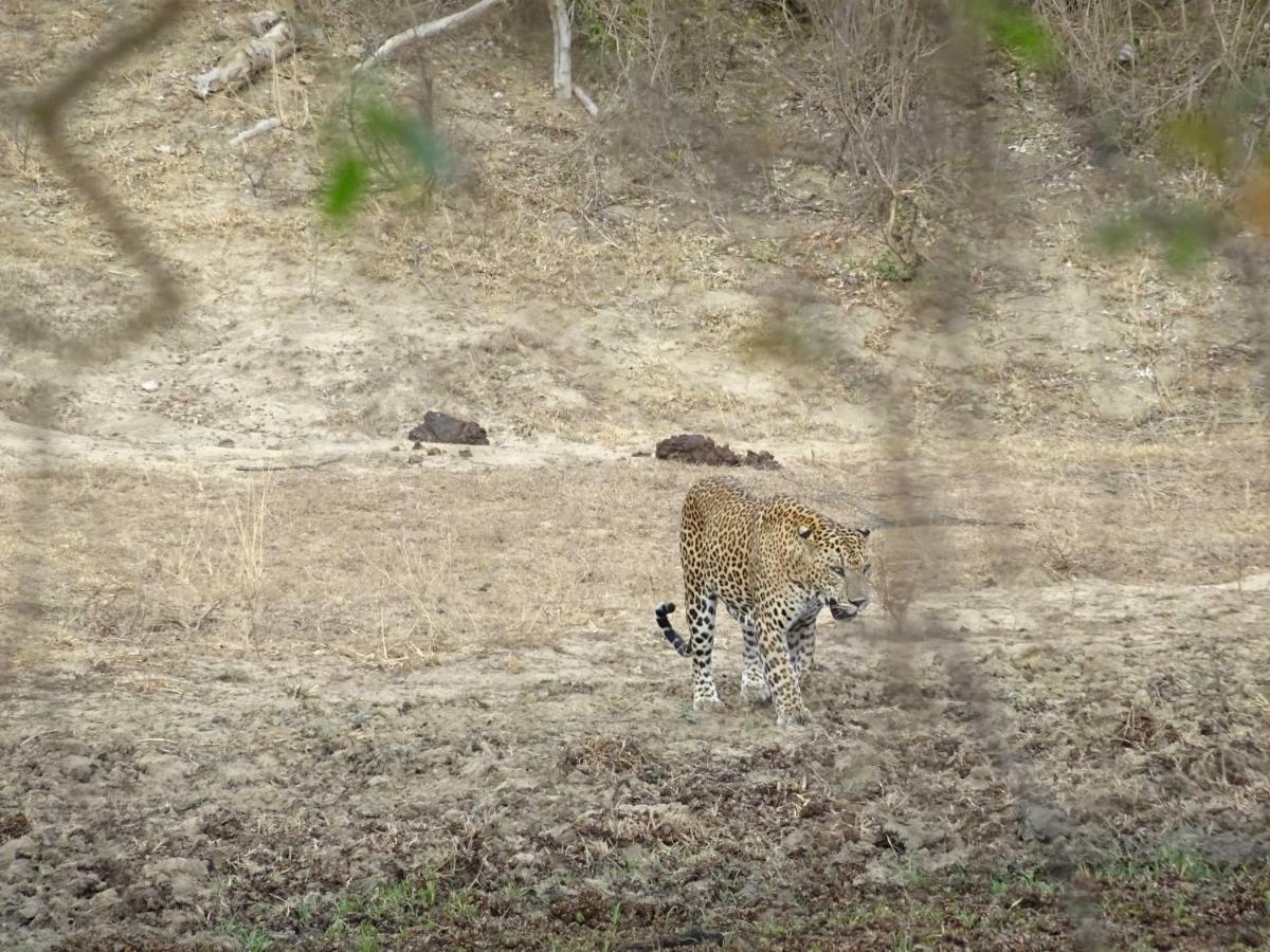 カタラガマ Wadula Safari - Yalaヴィラ エクステリア 写真